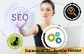 Experienced SEO Services Provider