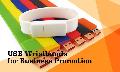 USB Wristbands for Business Promotion
